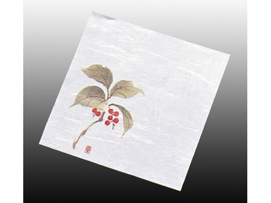 A[ebN  j[lG 4 100 NS-15 傤