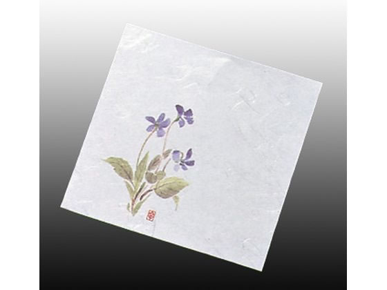 A[ebN  j[lG 4 100 NS-16 ݂