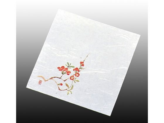 A[ebN  j[lG 4 100 NS-17 ڂ