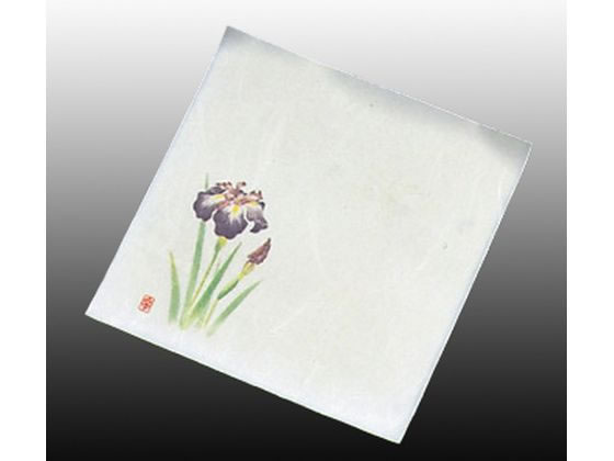 A[ebN  j[lG 4 100 NS-20 