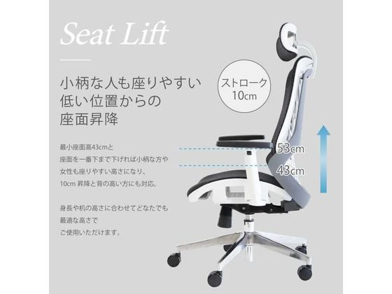 Netforce ウェルビー オフィスチェア 肘付き ブラック WLB-1A-FW-BK