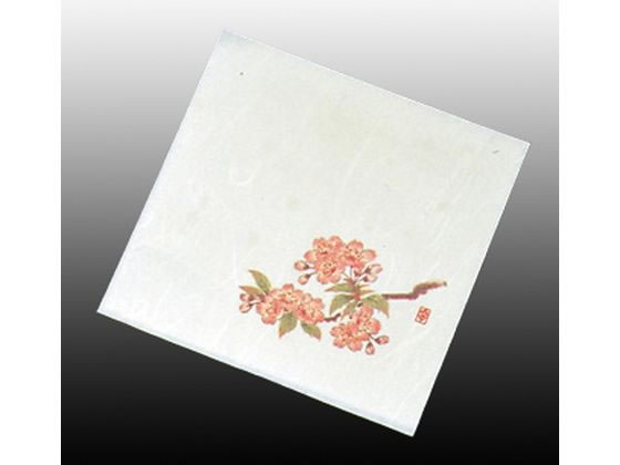 A[ebN  j[lG 4 100 NS-18  2`4