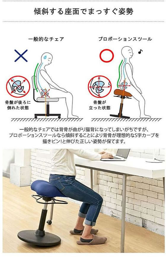 宮武製作所 プロポーションスツール ロータイプ ブラック CH