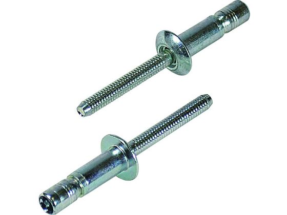 エビフライ様【専用】 エビ 高強度ブラインドリベット Sボルト(丸頭) Φ6.4／板厚9.5mm