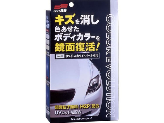 \tg99 COLOR EVOLUTION 100mL zCg&zCgp[ 00501