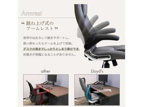 Netforce ロイズチェア グレー LYS-1-GY 通販【フォレストウェイ】