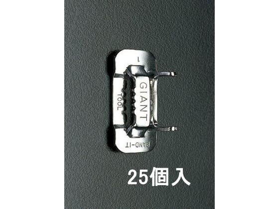 GXR obN 201XeX 25 1