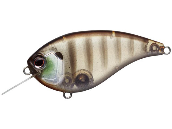 �G�o�[�O���[�� �t���b�g�t�H�[�X #246 �t�M��