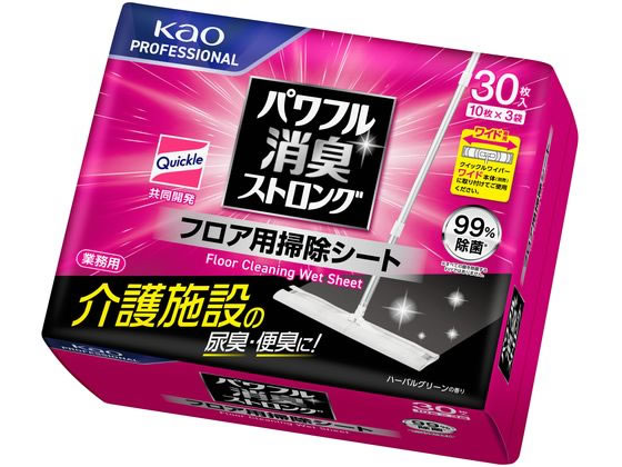 KAO ptLXgO tAp|V[g 10x3
