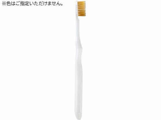 Amazon | 【美浜卸売・まとめ買い】B－3600SS プレミアム