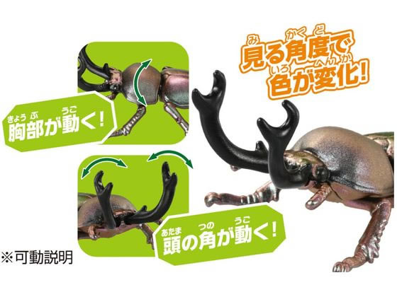 タカラトミー アニア AS-42 ニジイロクワガタ 通販【フォレスト