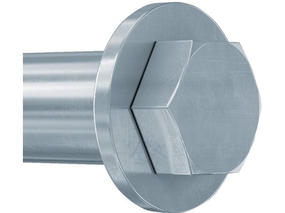 フィッシャー ボルトアンカー FH2 12／25 S (50本入) 44885 fischer フィッシャー ボルトアンカー FH2 12⁄25 S (50本入) 44885