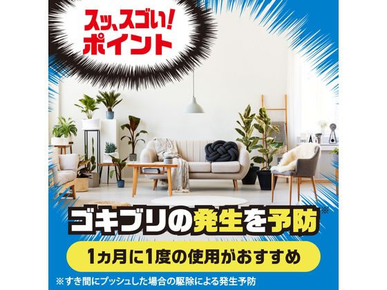 アース製薬 ゴキッシュ スッ、スゴい! 60プッシュ 通販 アース製薬 ゴキッシュ スッ、スゴい! 60プッシュ 通販