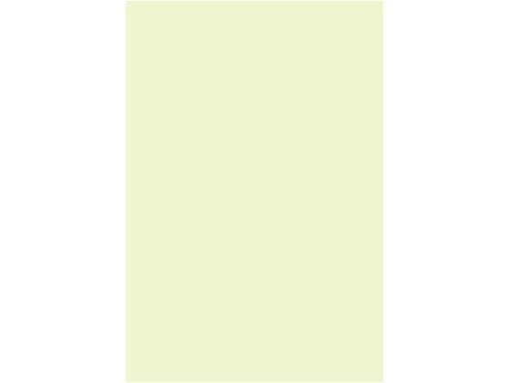 wCR[ Jbgy[p[ F㎿ 148~100 JNT 150