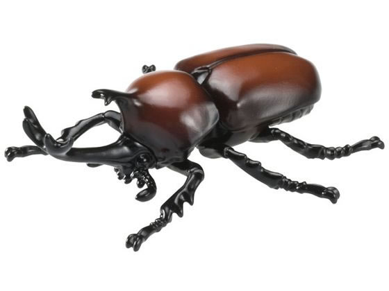カブトムシ タカラトミー アニア AS-37 カブトムシ 通販【フォレストウェイ】