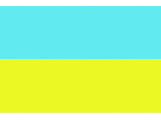 東京製旗 国旗No.2(90×135cm) ウクライナ 426142 | Forestway