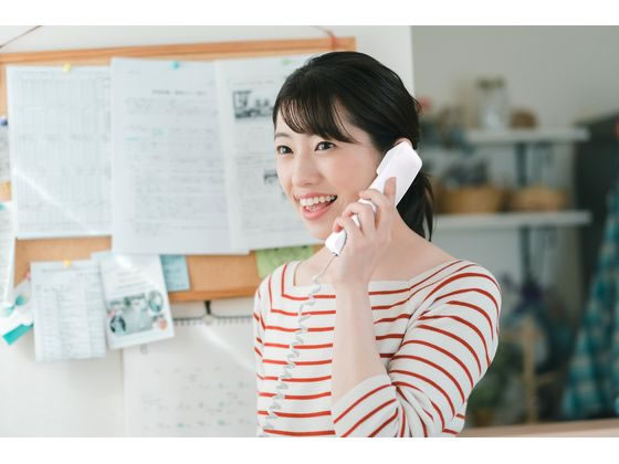 朝日電器 玄関インターホン CDS-500 通販【フォレストウェイ】