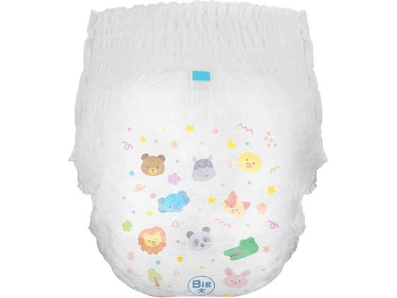 アイリスオーヤマ Genki!ふわもちタッチ Big大 24枚 GBP-BIGD24 通販