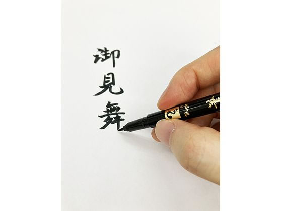 寺西化学工業 マジック 筆ペン 細字 MFPHP-T1 通販【フォレスト
