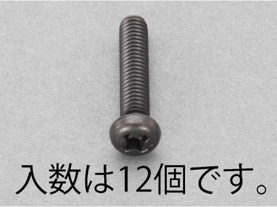 ●材質：ステンレス（ＳＳブラック仕上げ）●並目ねじ●全ねじ●（＋）ナベ頭●サイズ：Ｍ５×８●ピッチ：０．８●入数：１２