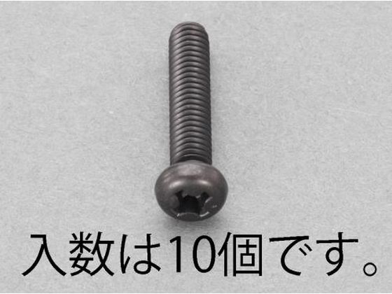 ●材質：ステンレス（ＳＳブラック仕上げ）●並目ねじ●全ねじ●（＋）ナベ頭●サイズ：Ｍ５×１２●ピッチ：０．８●入数：１０
