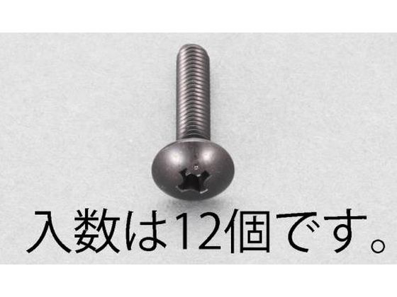 ●材質：ステンレス（ＳＳブラックメッキ）●並目ねじ●全ねじ●（＋）トラス頭●サイズ：Ｍ４×１５●ピッチ：０．７●入数：１２