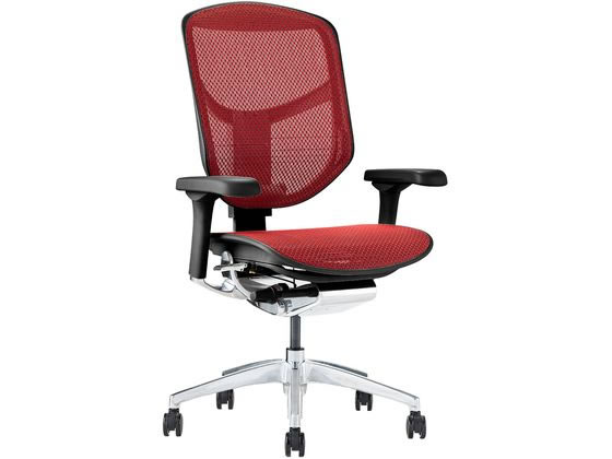 Ergohuman エルゴヒューマン エンジョイ2 ロータイプ レッド