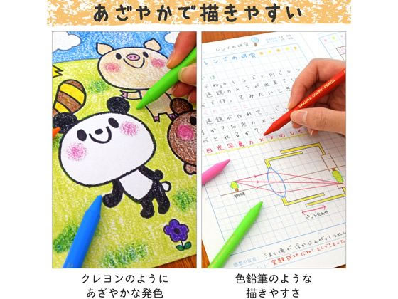 サクラクレパス クーピーペンシル 60色(缶入り) FY60 通販【フォレスト