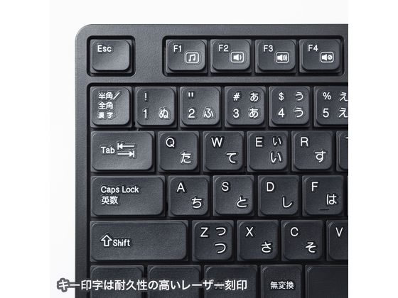 サンワサプライ ワイヤレス静音キーボードマウスセット テンキー サンワサプライ ワイヤレス静音キーボードマウスセット テンキー