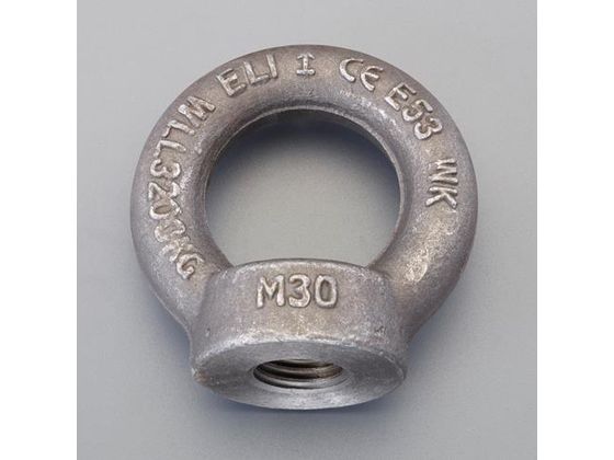 ●使用荷重：１４０ｋｇ●内径（ｍｍ）：２０●線径（ｍｍ）：８●ねじ径：Ｍ８●材質：鍛造炭素鋼●ＤＩＮ５８２