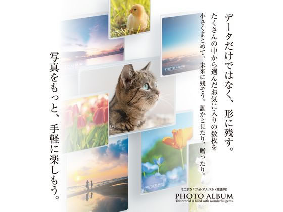 新品　アルバム　写真用 セラピーカラー 背丸ポケットアルバム L判3段240枚 オレンジ
