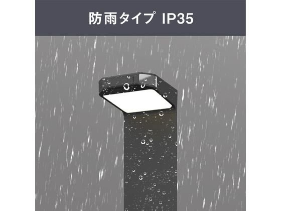 シークワーサーさま確認用 cxssensorXP-160x160.jpg