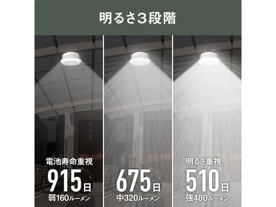 ムサシ 屋外用センサーシーリングライトリモコン付 LED-165 通販