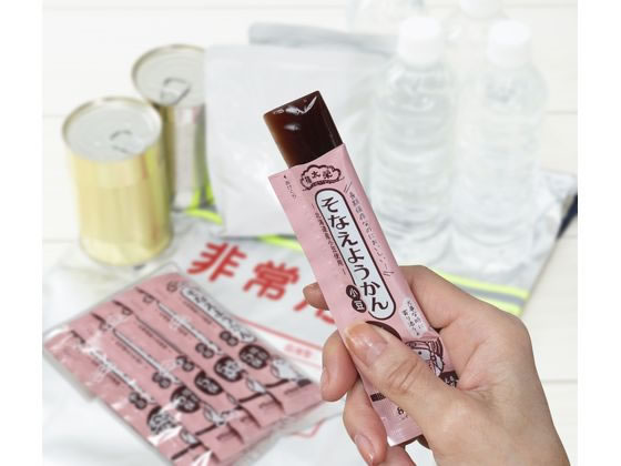 榮太樓總本鋪 そなえようかん小豆 100個 通販【フォレストウェイ】