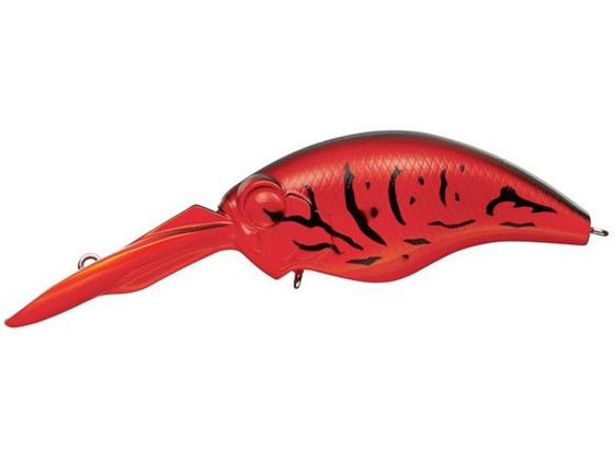 エバーグリーン ワイルドハンチ8フッター 64 ファイアークロー Forestway 通販フォレストウェイ