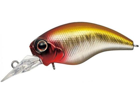 �G�o�[�O���[�� ���C���h�n���`SR #125 �N���E��