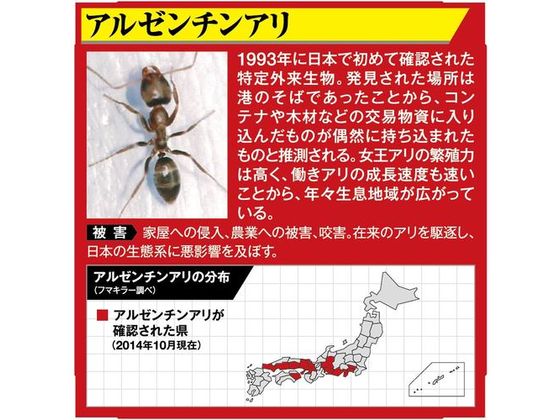 フマキラー アリ用殺虫剤 アルゼンチンアリ ウルトラ巣ごと退治20個入