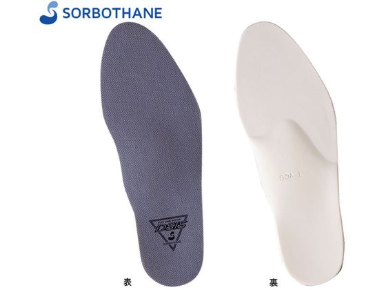 �O�i���Y DSIS�\���{���f�B(������) �O���[ 3S