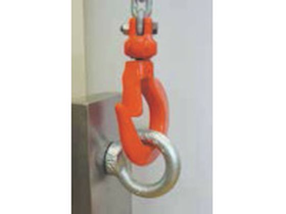 RUD VRS-F-M12L スターポイントロングボルトタイプ ルッドリフティング RUD スターポイントロングボルトタイプVRS-F-M12L VRS-F-M12L 通販