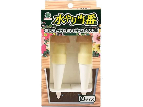 �}���n�` �V����蓖�� M�T�C�Y