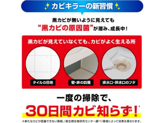 ジョンソン カビキラー 本体 400g×18個 通販【フォレストウェイ】