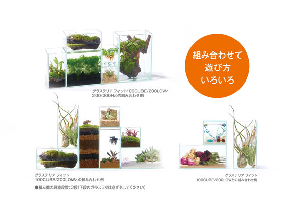 ジェックス グラステリアフィット200LOW 通販【フォレストウェイ】