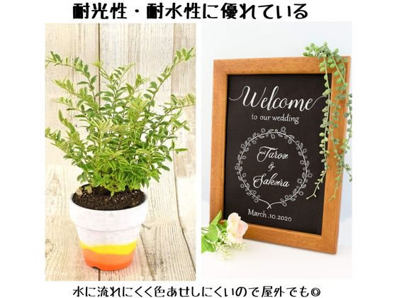 サクラクレパス ピグマックス細字 12色セット ZPK-S12 通販