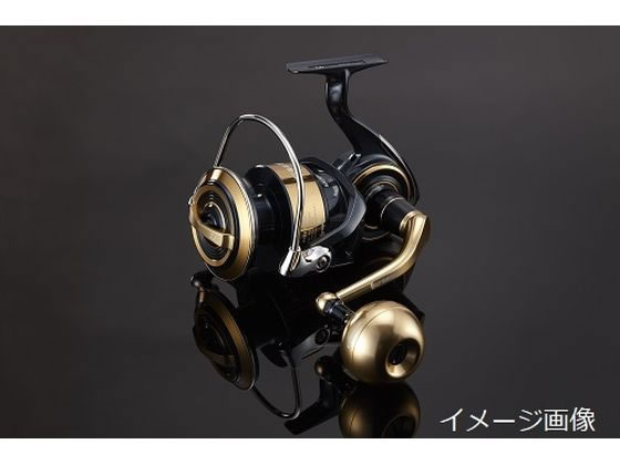 ダイワslpワークス(Daiwa Slp Works) 20 ソルティガ スプール