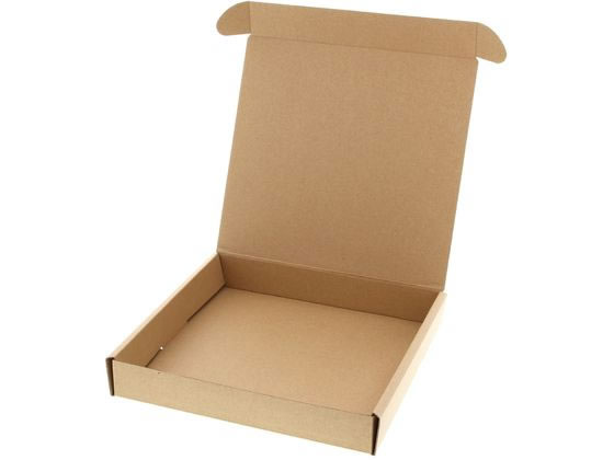 ヘイコー ナチュラルボックス Z-20 プレート1枚用 無地 10枚 通販