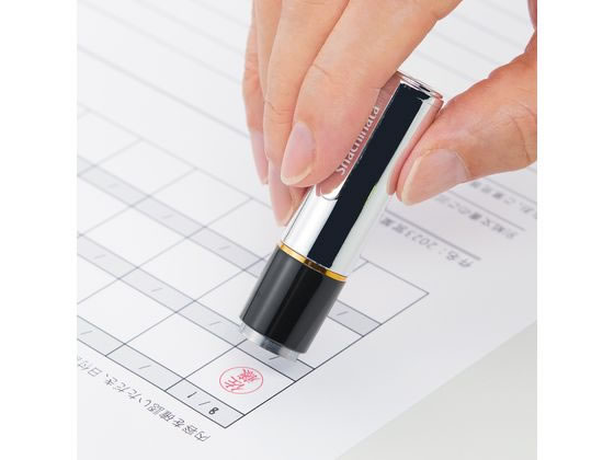 ♡みなみさま専用♡ポケット付き御城印帳　ブラック×ゴールド メタリックシルバー シヤチハタ Shachihata ネーム9(メールオーダー式) メタリック