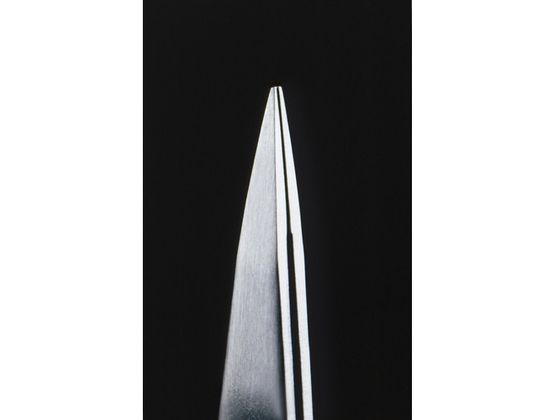 GREENBELL ステンレス製 高級毛抜き(極細) G-2152 通販【フォレスト