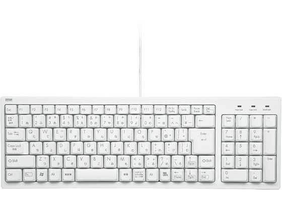 クリーム色 テンキー付きキーボード SKB-SL17WN【USBスリムキーボード（ホワイト）】無駄を省いた