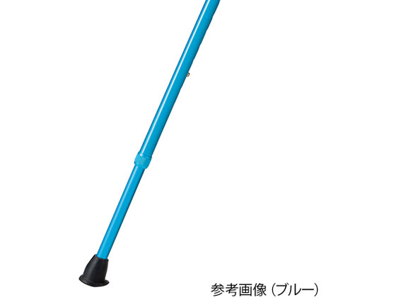 きのこ様 竹虎 ヒューゴステッキ グレー 104754 通販【フォレストウェイ】