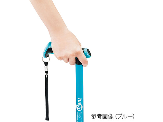 竹虎 ヒューゴステッキ グレー 104754 通販【フォレストウェイ】